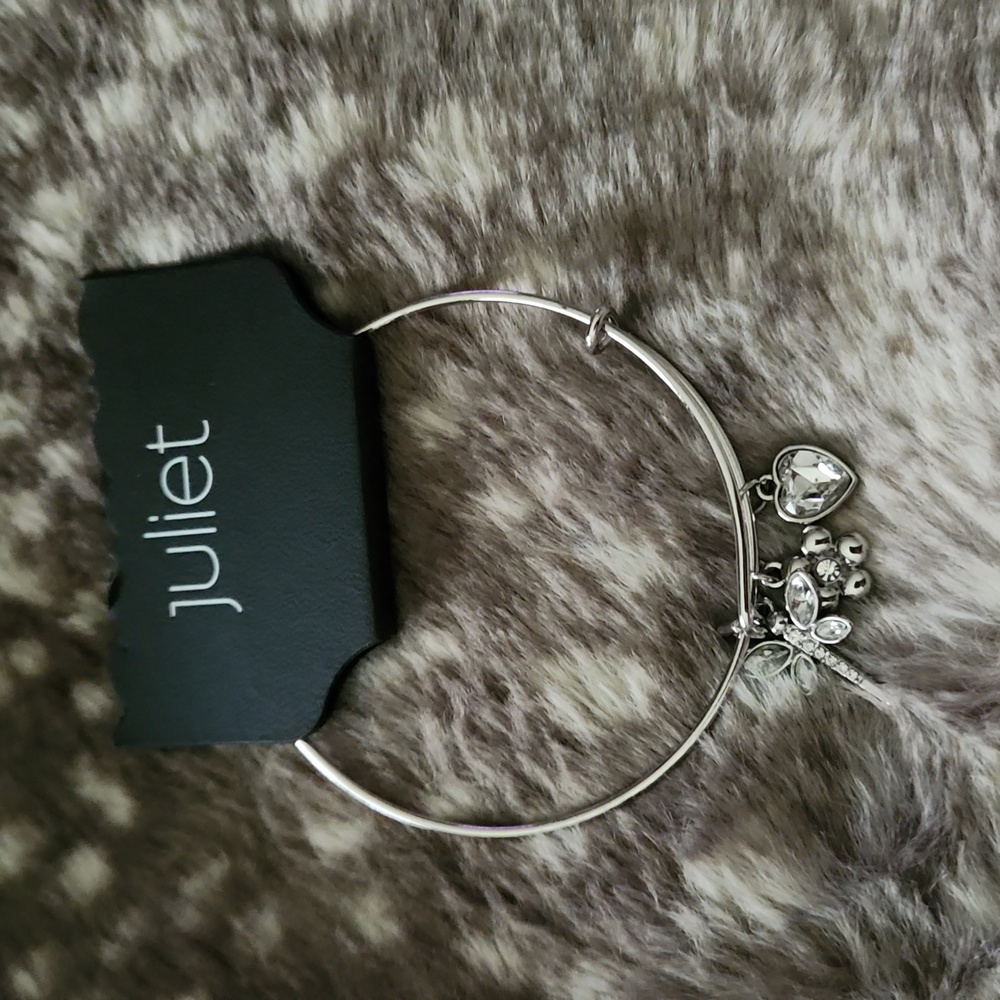 Dragonfly charm bracelet (silver tone)